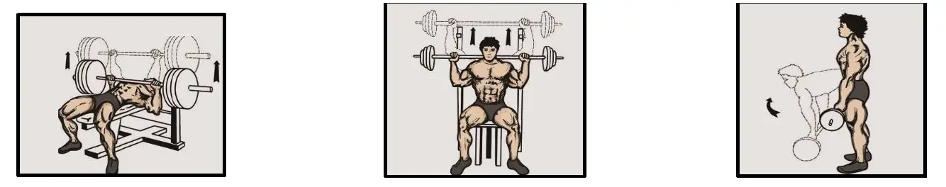 HMS SGZ-6-in-1-Weight-Set-Rubber-Cover-fig- (14)