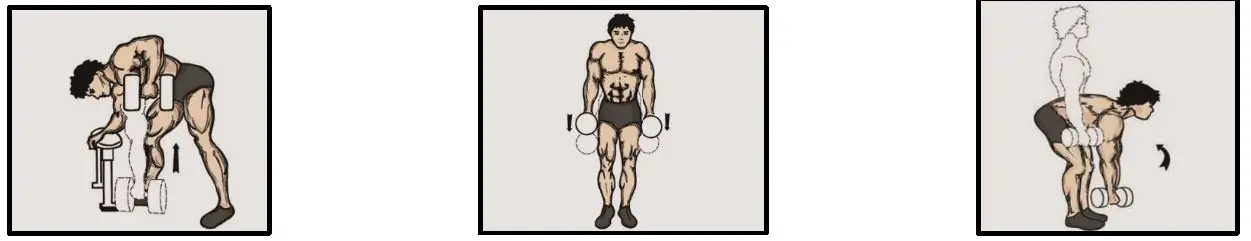 HMS SGZ-6-in-1-Weight-Set-Rubber-Cover-fig- (5)