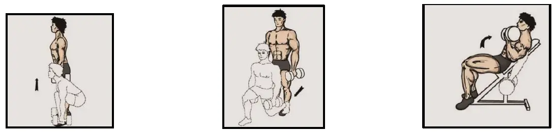 HMS SGZ-6-in-1-Weight-Set-Rubber-Cover-fig- (9)