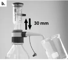 BRAND-seripettor-pro-Bottletop-Dispenser-fig-10