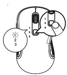 Loyal 2.4G Bluetooth+Wireless Mouse User Manual - Press the mode switch to 2.4G mode until white LED is on