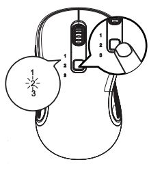 Loyal 2.4G Bluetooth+Wireless Mouse User Manual - Press the toggle button