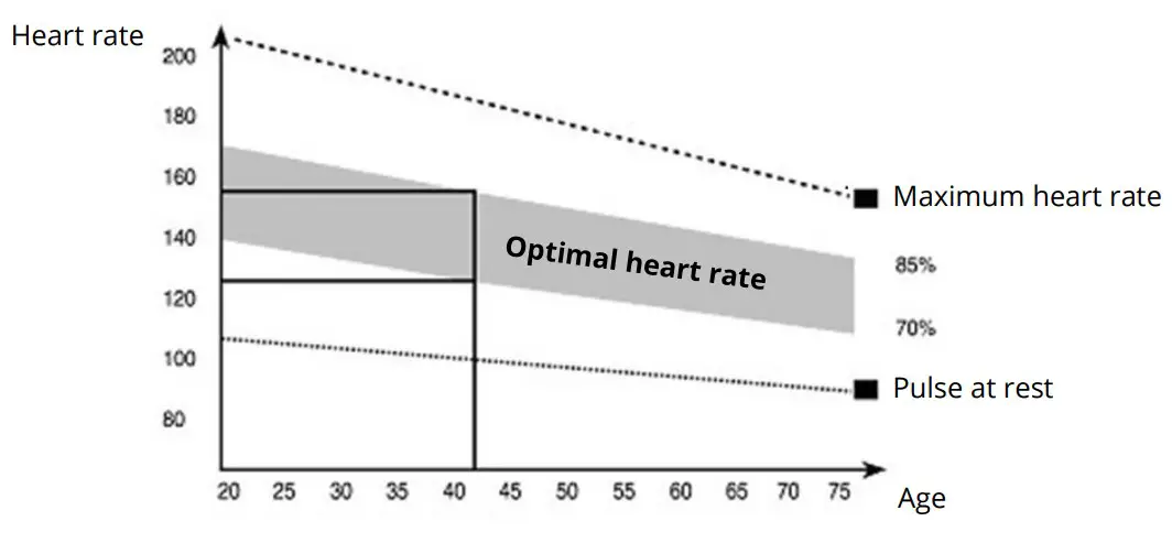 Check your heart rate