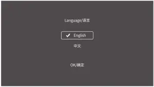 Godox GM55 4K HDMI Touchscreen On-Camera Monitor - Language Setting