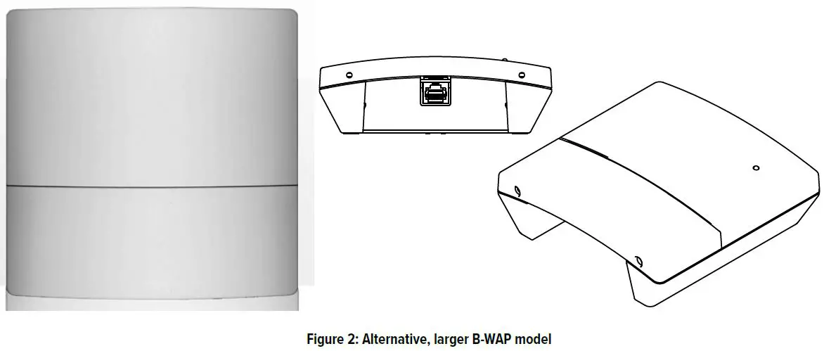 Appearance Differences 1