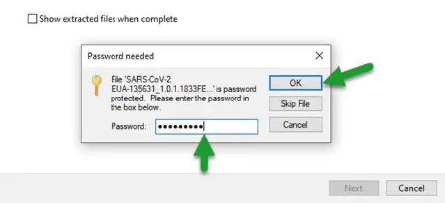 Password Window