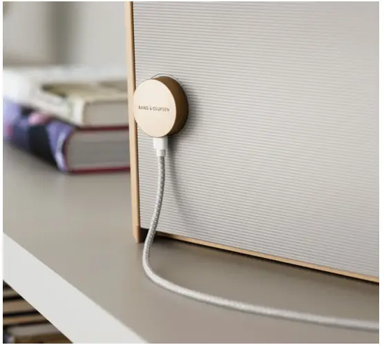 BANG OLUFSEN A52926 Beosound Level Portable WiFi Speaker- CHARGING