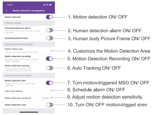 Motion Detection Management