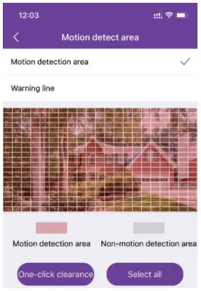 motion detect area setting