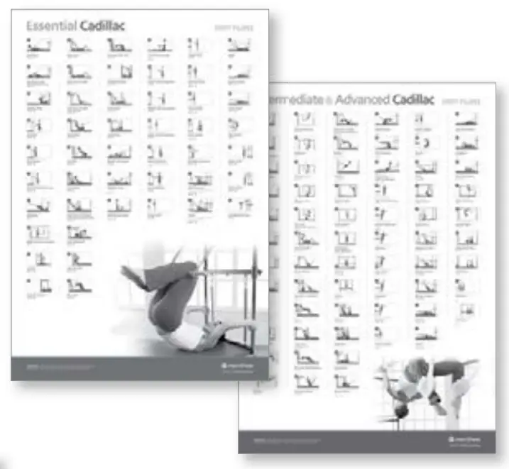 merrithew-ST01052-Spring-Wall-FIG-15