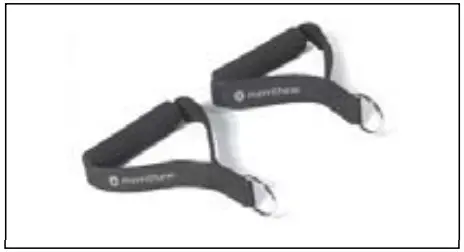 merrithew-ST01052-Spring-Wall-FIG-9