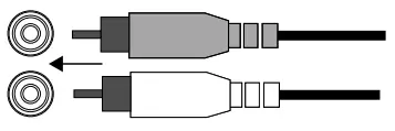 Line-level inputs (RCA)