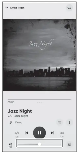 YAMAHA R N2000A Receiver - FIG 20