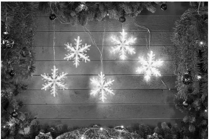 EKVIP 021657 String Light-fig1