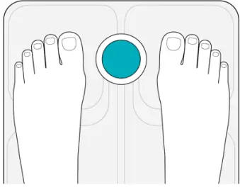 Fitbit-aria-2-WIRELESS-SMART-SCALE-FIG-3