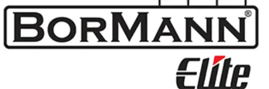 BORMANN-logo