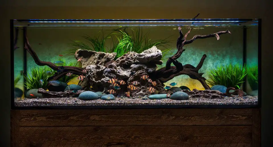 Current Serene Sun / Aquaserene Led User Manual Current Serene Sun / Aquaserene Led User Manual