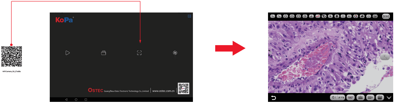OSTEC Trinocular Microscope WiFi Camera - fig 9