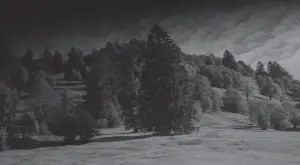 GARLAND 220319 Cepa 130 SBW Pruning Shears