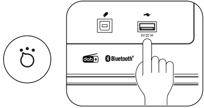 Roberts Blutune 300 Wireless Charging Sound System - memory