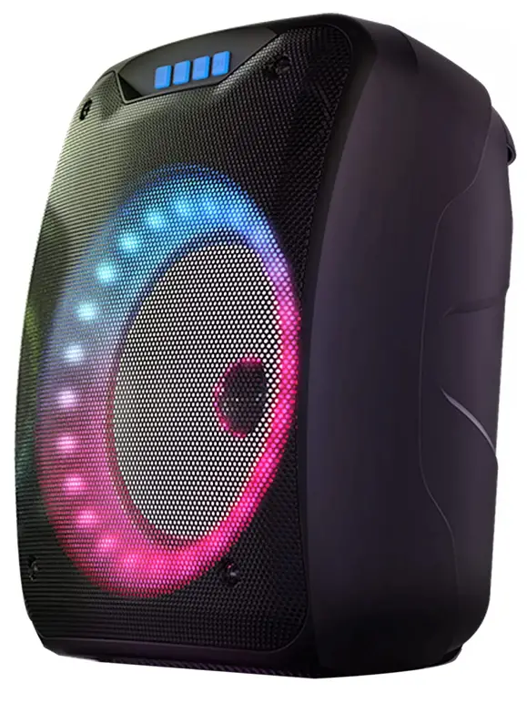 Shinco Portable Wireless Speaker