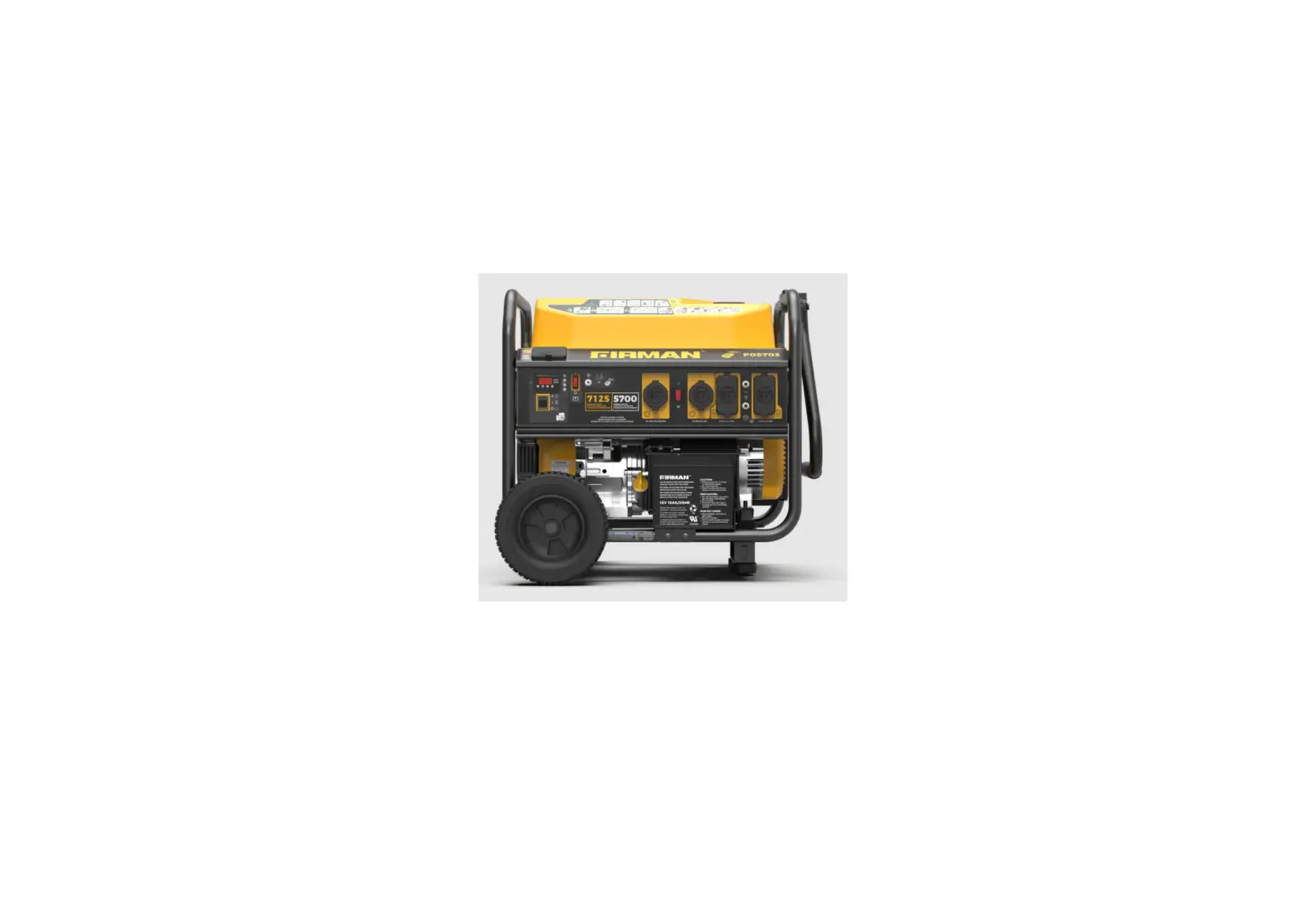 Firman P05703 Gas Start Portable Generator User Guide Firman P05703 Gas Start Portable Generator User Guide