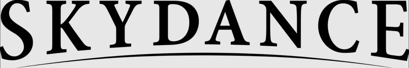 SKYDANCE RT2 8 Zones Color Temperature Remote Control LOGO