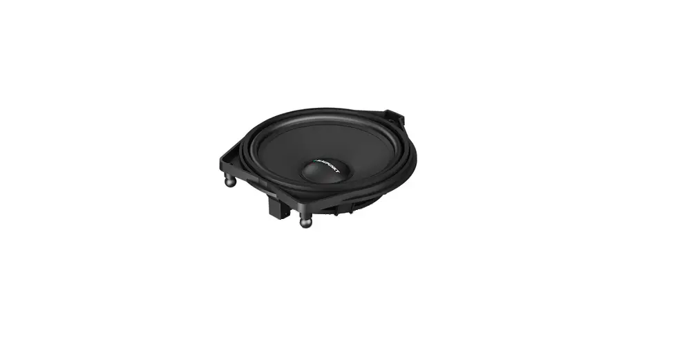 Blaupunkt Mps-1400-rmb Plug And Play Center Speaker Instruction Manual