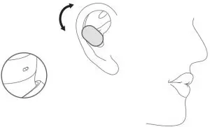 Earphones Inductions