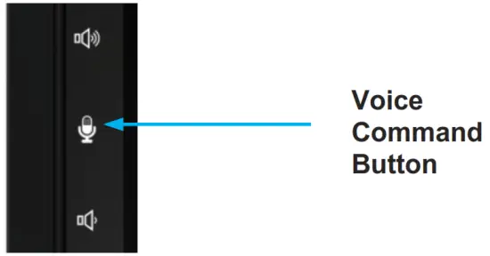 BLAUPUNKT 2002020000001 Series 600 Car Multimedia - Voijce