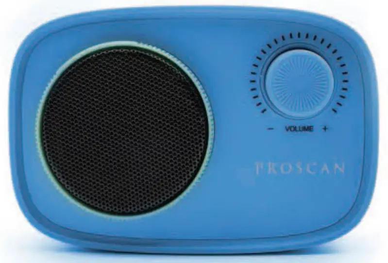 PROSCAN PSP1435 ASST Bluetooth Speaker