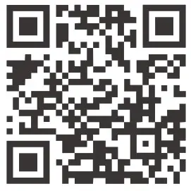 GT1P Segway SuperScooter - qr