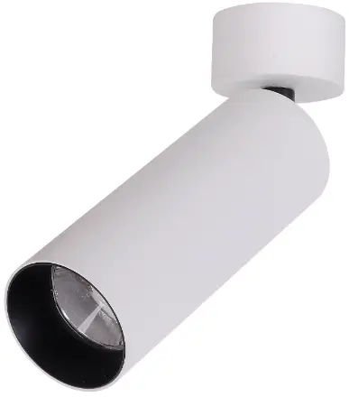 RAB LYE-9341C Cylinder Surface Mount LED Down Light
