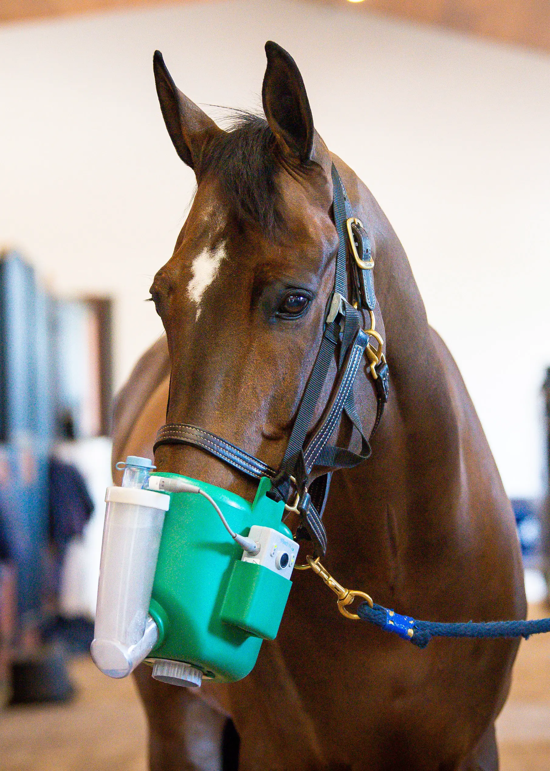 Flexineb Mask Adapter Kit - Figure 2