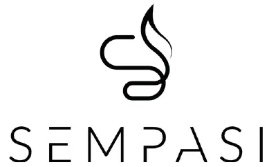 SEMPASI 551580 Intelligent facial cleansing device FEA