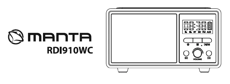 Portable Wireless Speaker RDl91