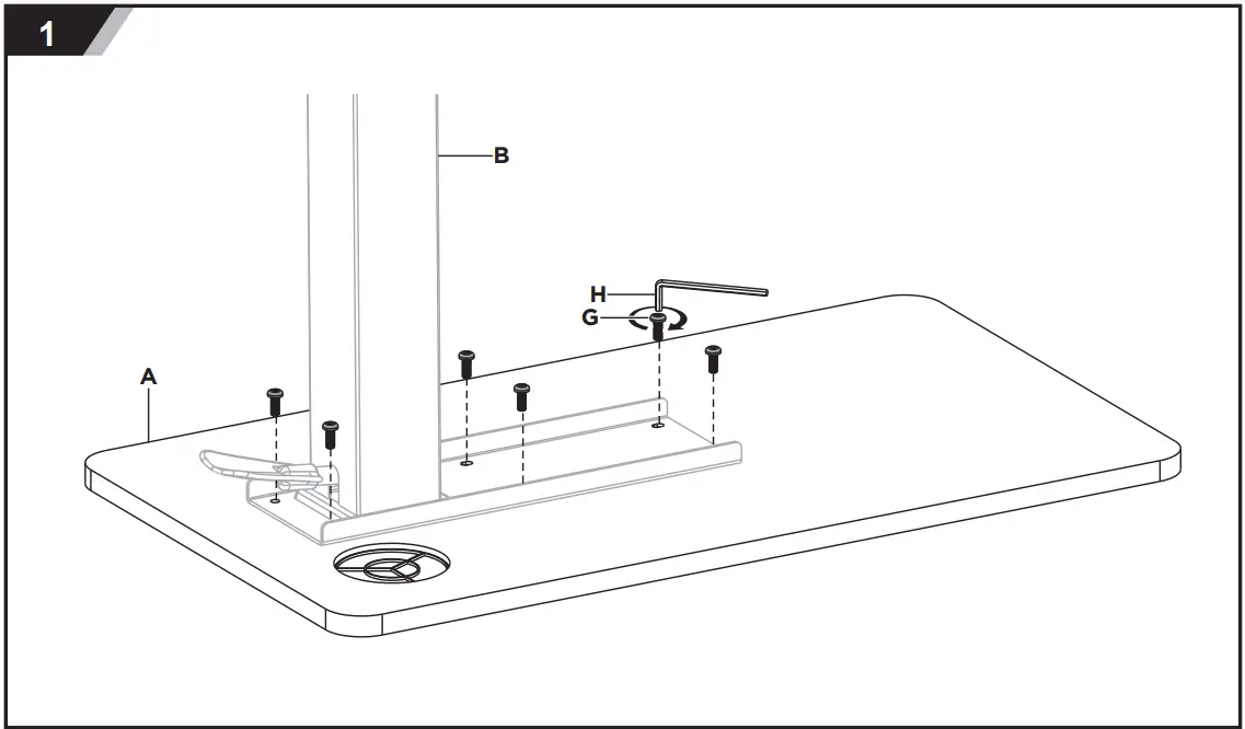 Assembly Instruction
