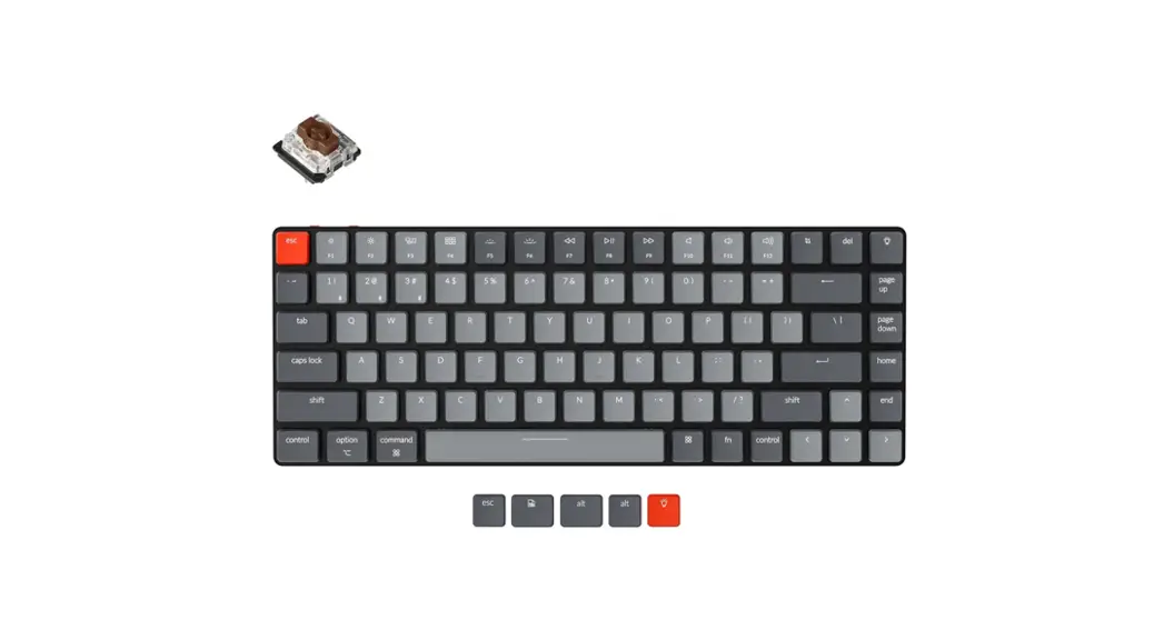 Keychron V1 Customizable Keyboard User Manual