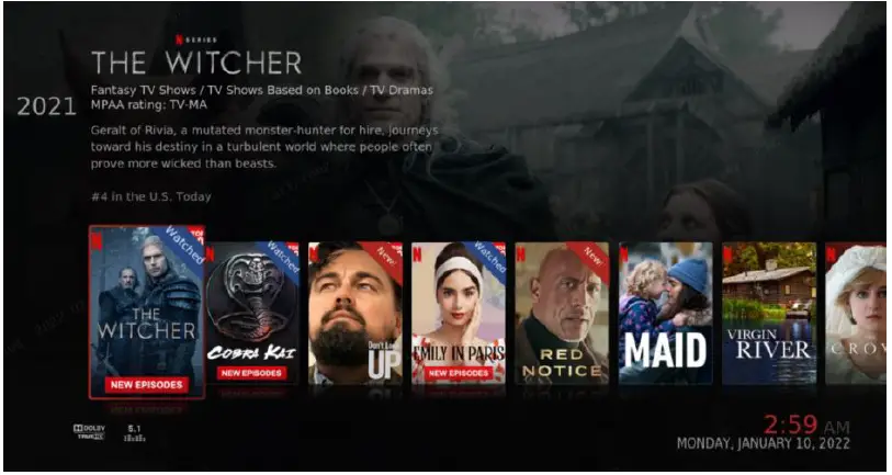 NETFLIX Desktop Manager App-7