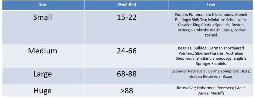 Dog Size Reference Chart