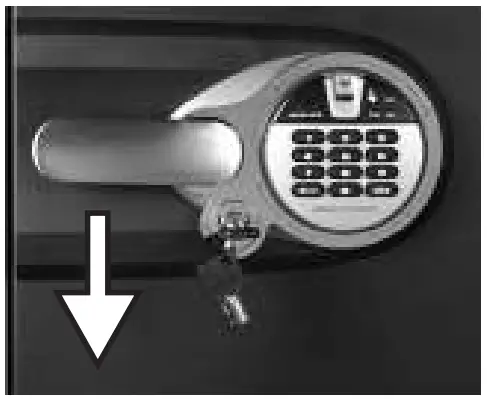 SentrySafe-Biometric-Lock-fig-12