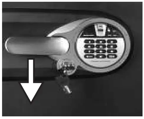 SentrySafe-Biometric-Lock-fig-7