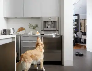 Bissell 2291 Series ICONpet High-Powered Robotic Vacuum