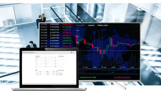 BRAVIA Display Power Management