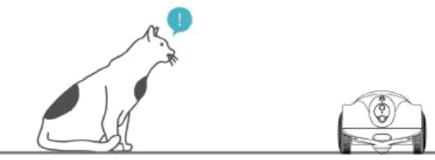 Shenzhen Obexx Intelligent Technology XPD 2 Intelligent Pet Companion Robot - Problem 1