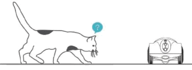 Shenzhen Obexx Intelligent Technology XPD 2 Intelligent Pet Companion Robot - Problem