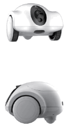 Shenzhen Obexx Intelligent Technology XPD 2 Intelligent Pet Companion Robot - Product parameters