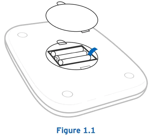 ETEKCITY EK7090 Digital Kitchen Scale - FIG