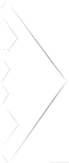 Freewing model B 2 Spirit Bomber