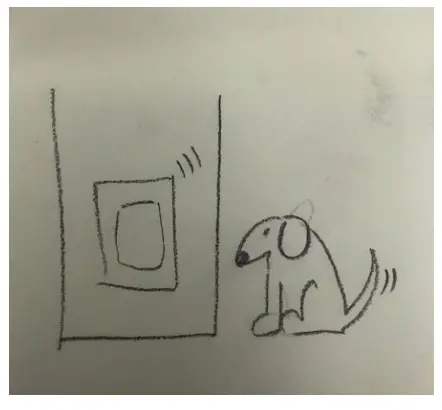 PetSafe PPA11 10709 SmartDoor Connected Pet Door-fig5